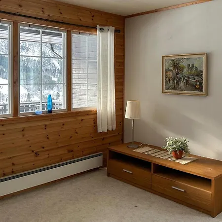 3 Bedroom Cozy In Apartment *